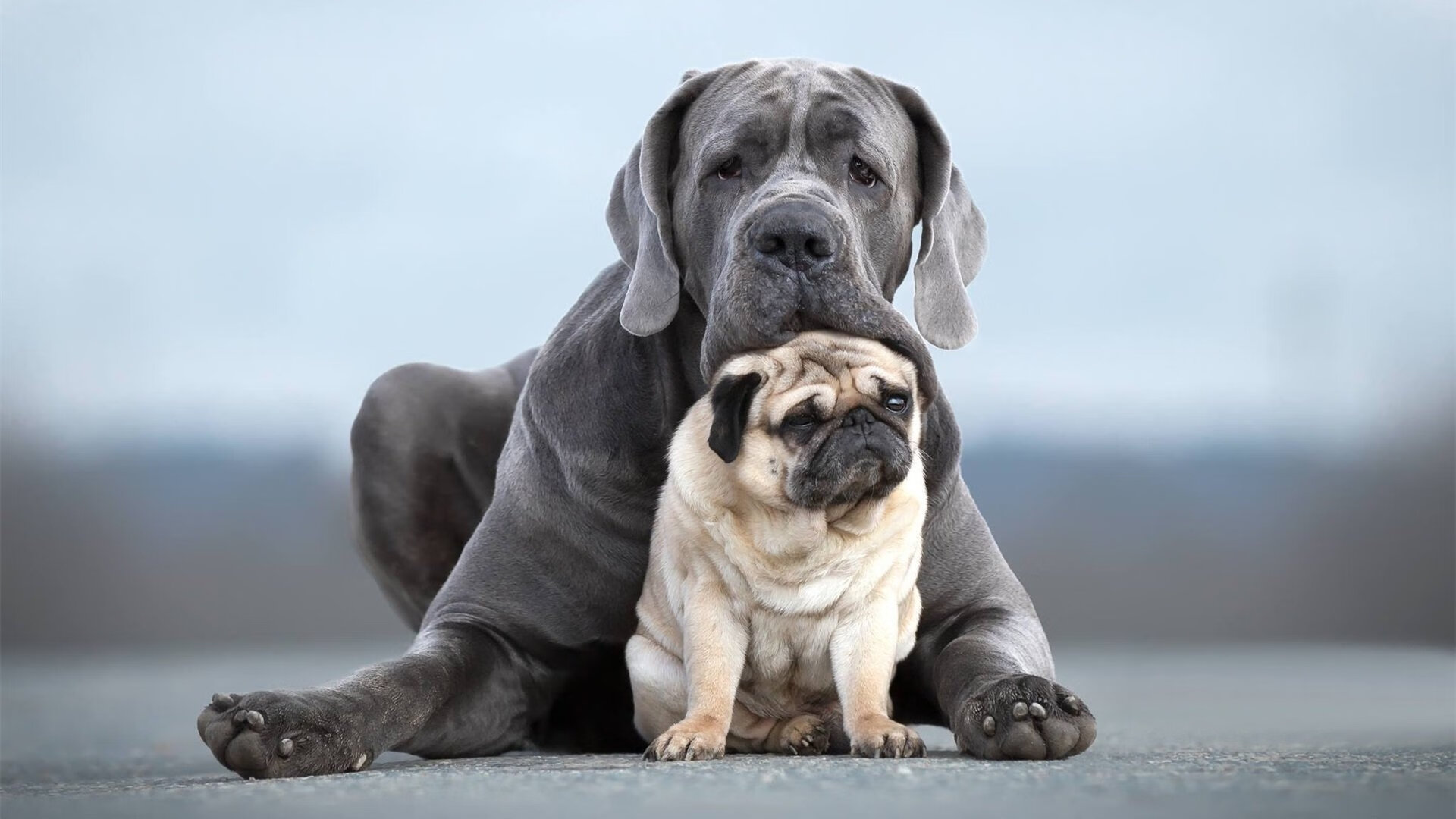 时间驯服者,莫德里奇如何让2026世界杯之夜归于自己的节拍