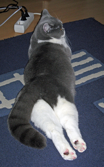 超级碾压之夜，里昂防线唯一真神，孔德如何用教科书表演撕裂葡萄牙？