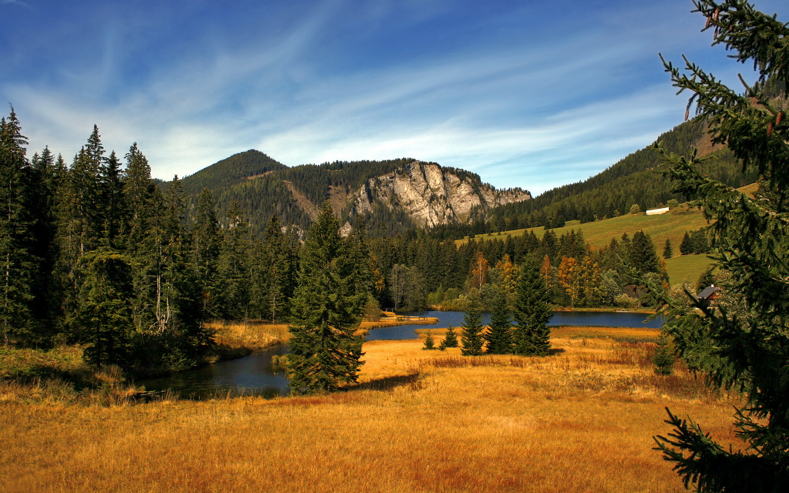 数据烟火绽放，黑马踏破豪门，迪巴拉现象与奥地利的铁血逆袭